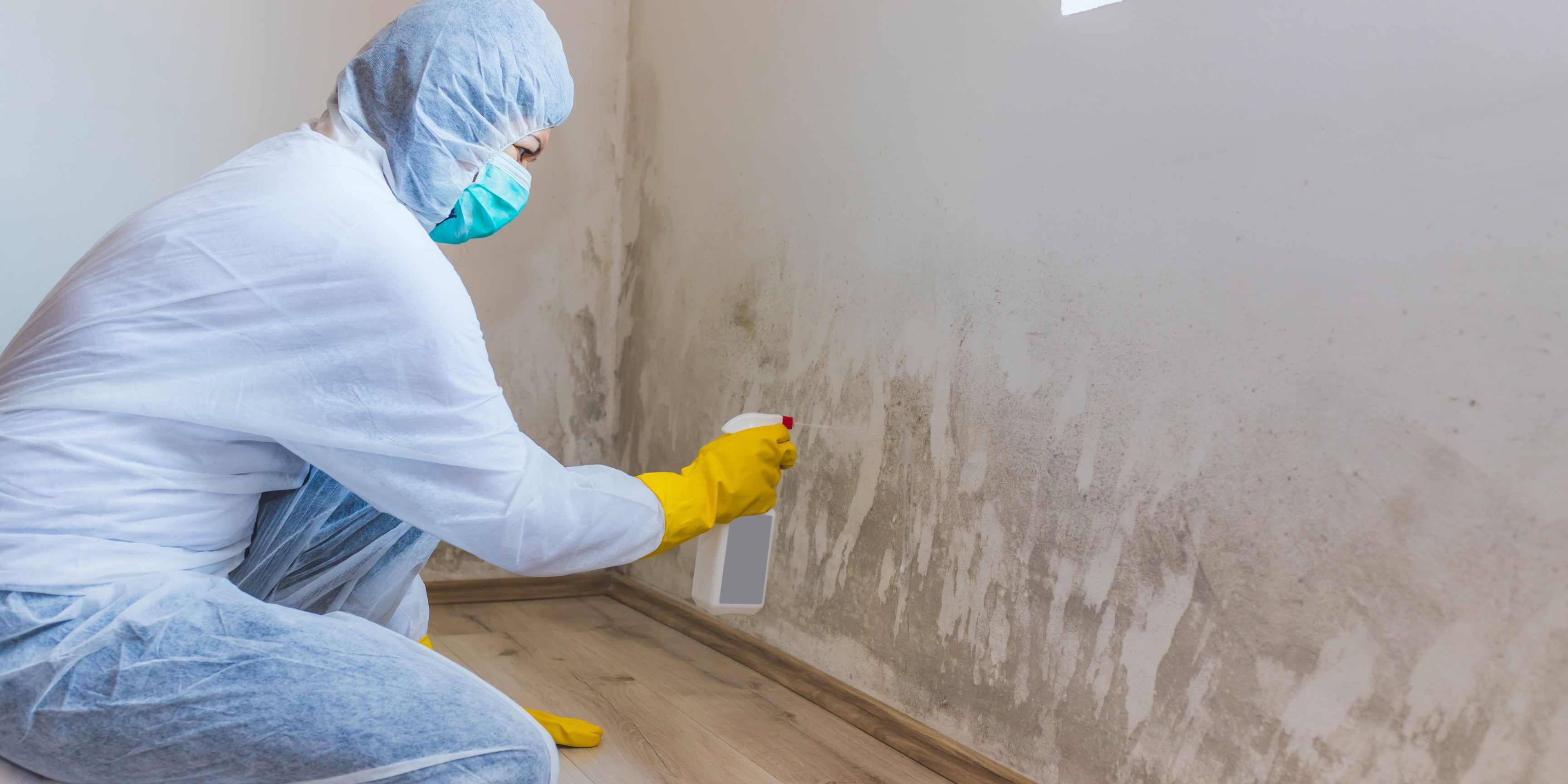 Image of indoor mold and someone cleaning it with a mask and gloves on.