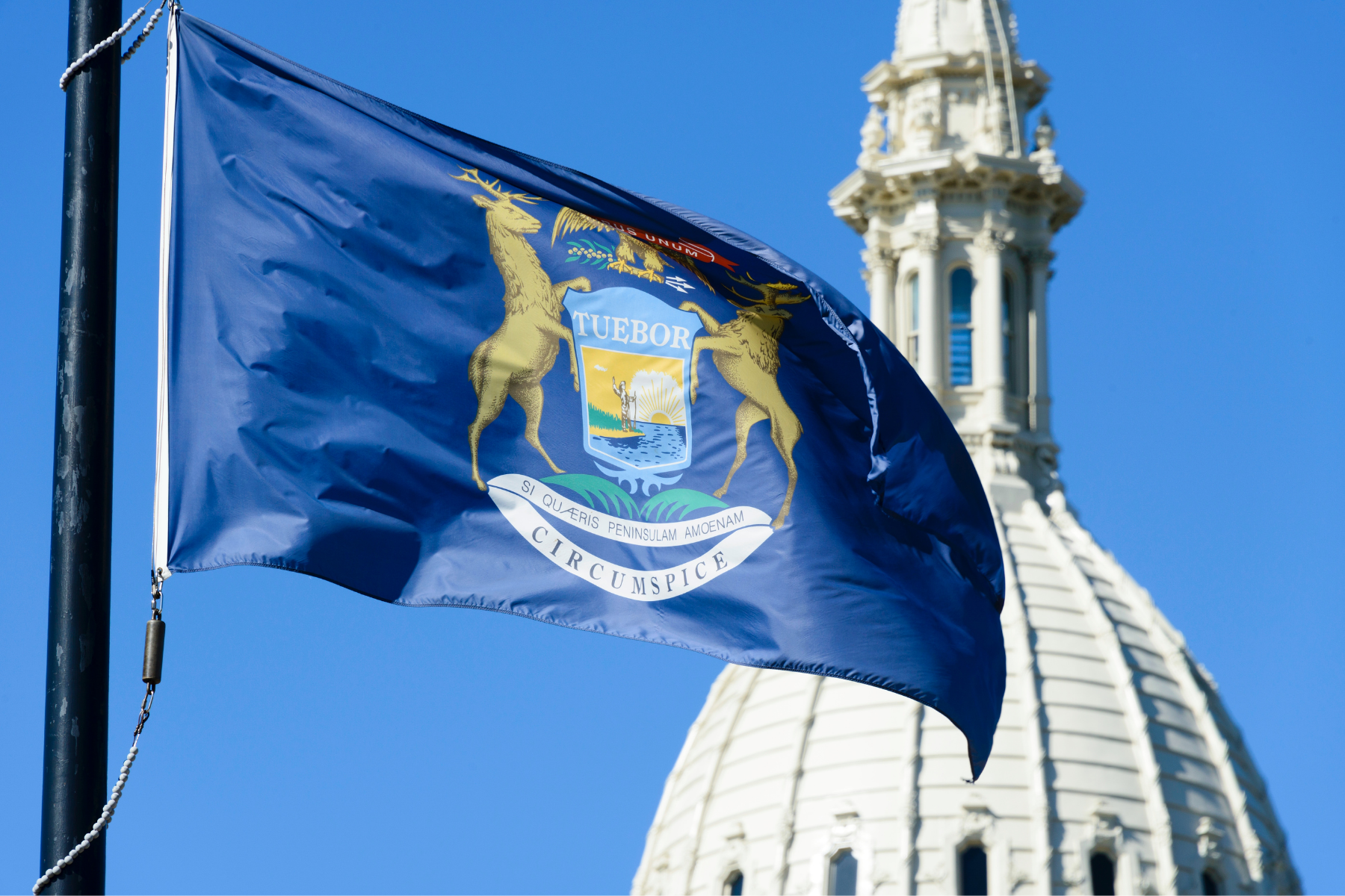 Michigan Capitol Building and Flag