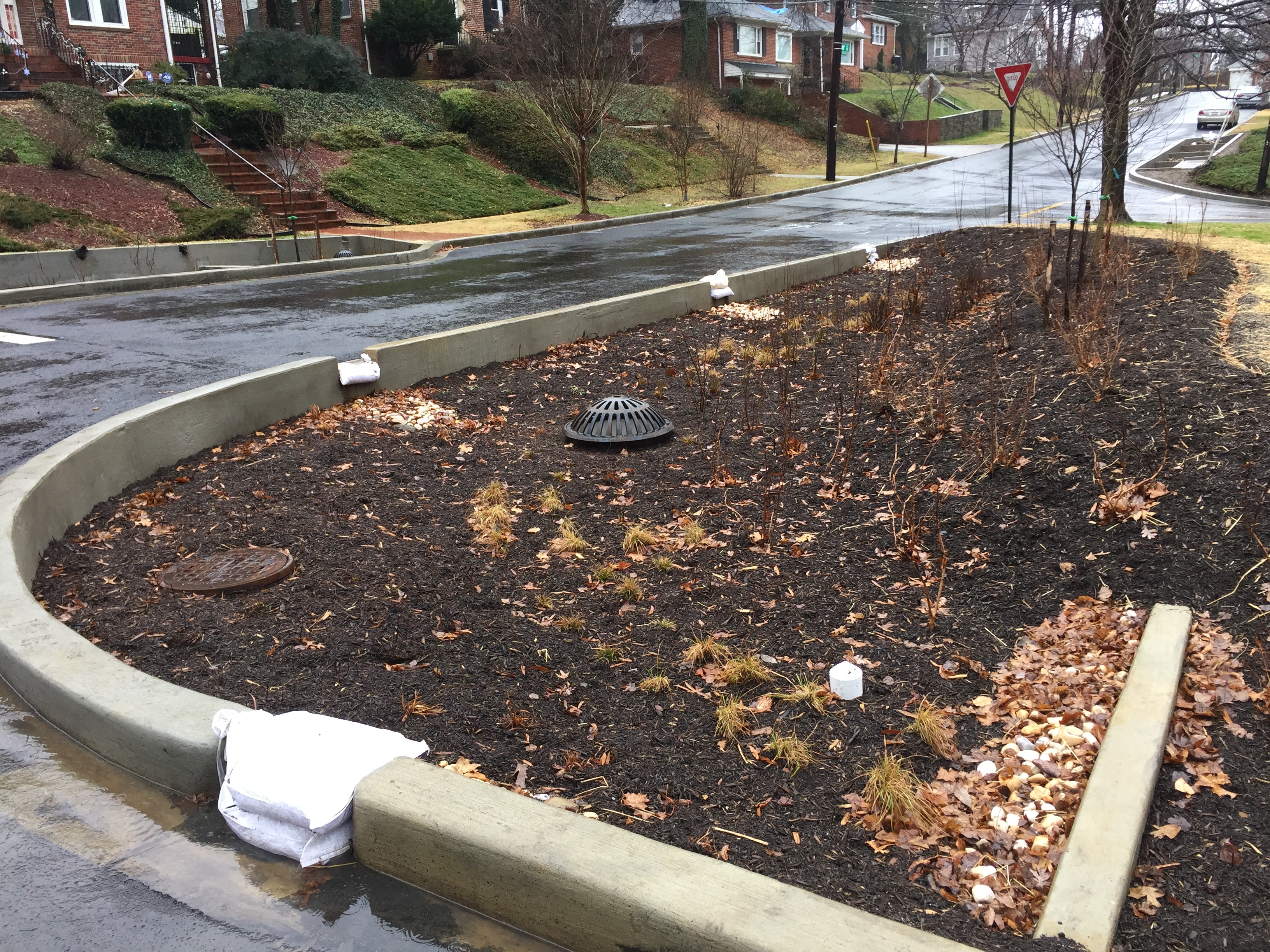 Alger Park Curbside Bioretention