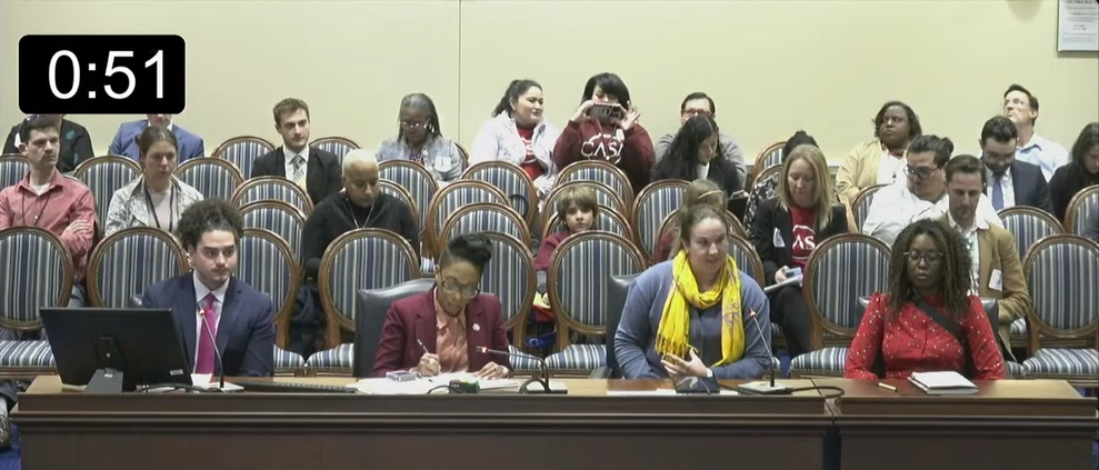 Chesapeake Regional Director Emily Ranson testifying on a panel of 4 people in the House of Delegates