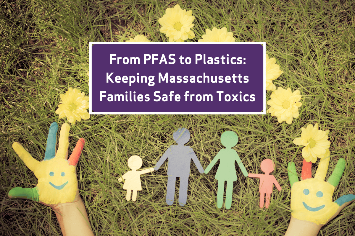 Graphic design for MA's new PFAS to Plastics legislative priorities for 2024-2025