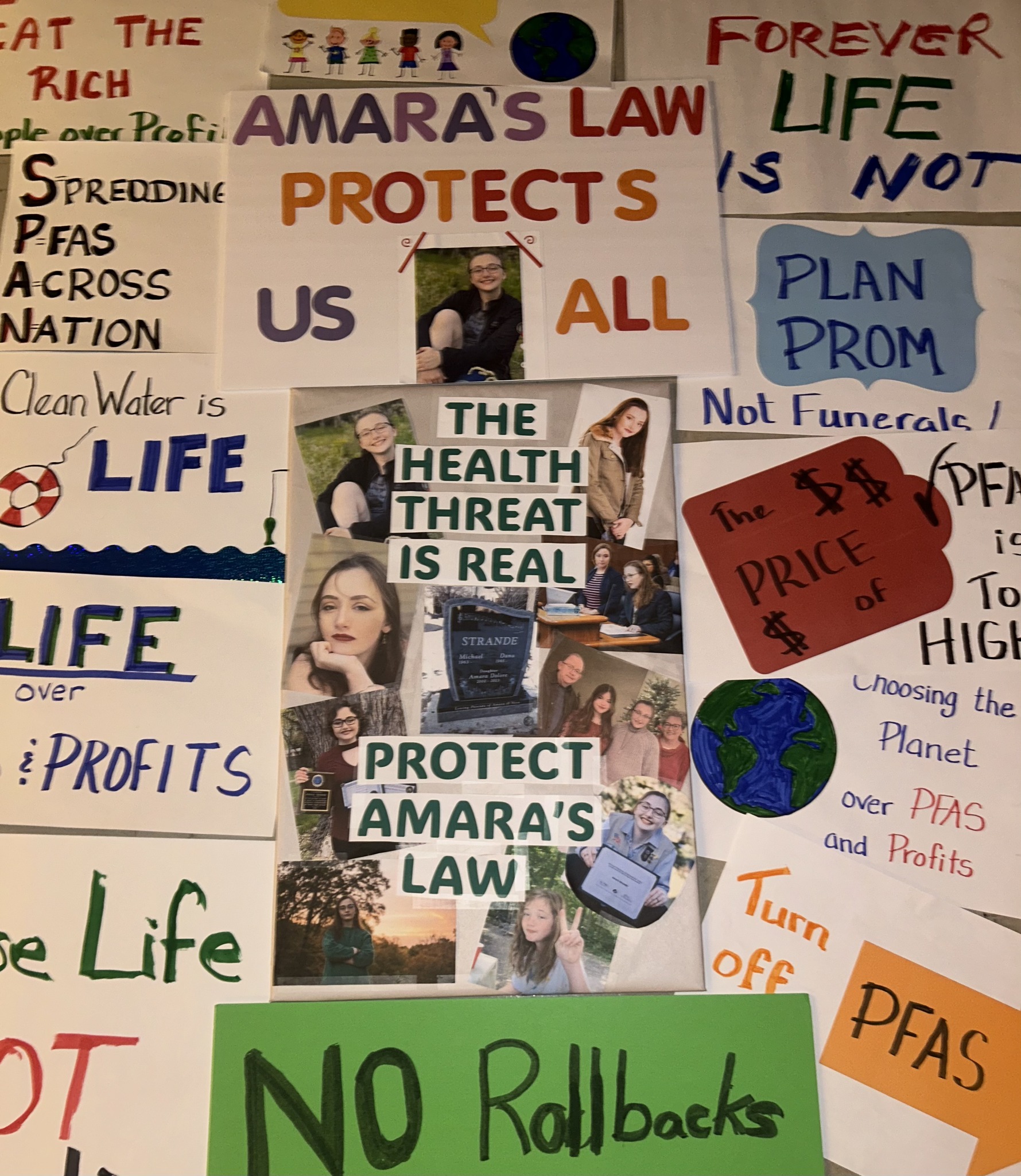 Collection of signs: "The Health Threat Is Real - Protect Amara's Law"