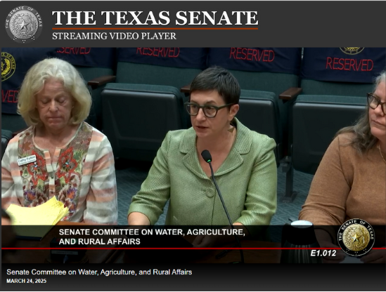 Screenshot of a Texas Senate video of Becky Smith speaking before the Committee of Water, Agriculture, and Rural Affairs on March 24, 2025.