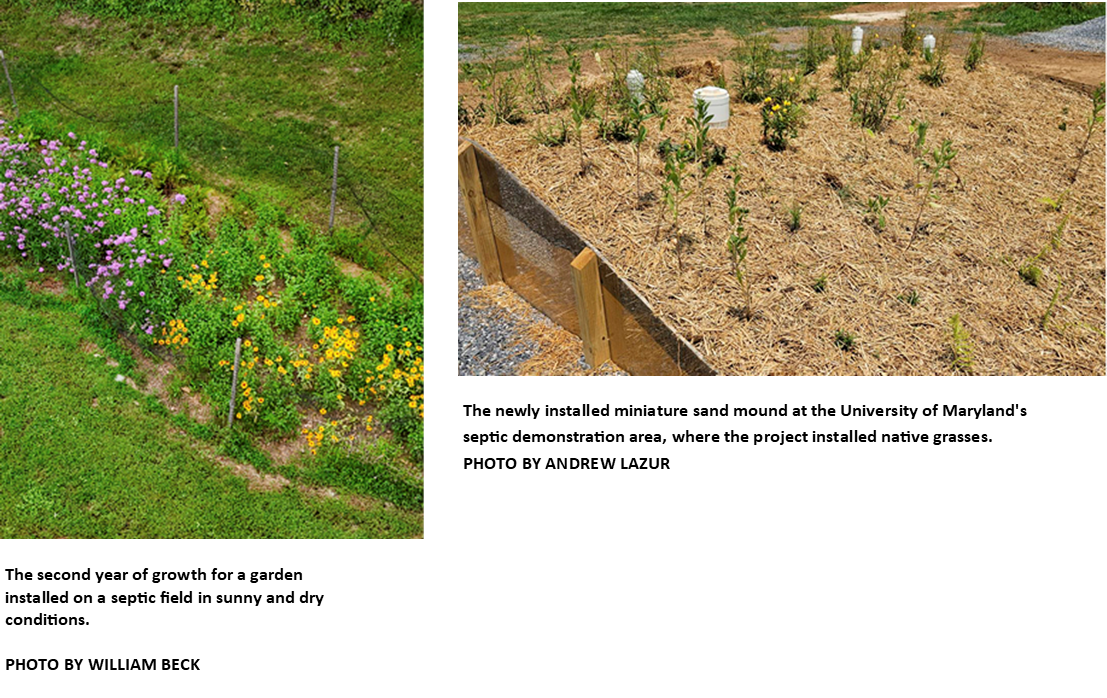 Chesapeake Garden Photos