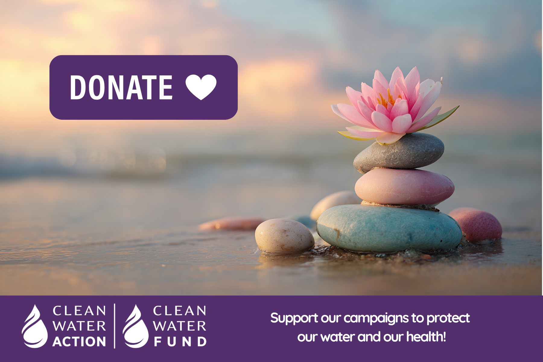 Donate graphic with rocks and a flower on top