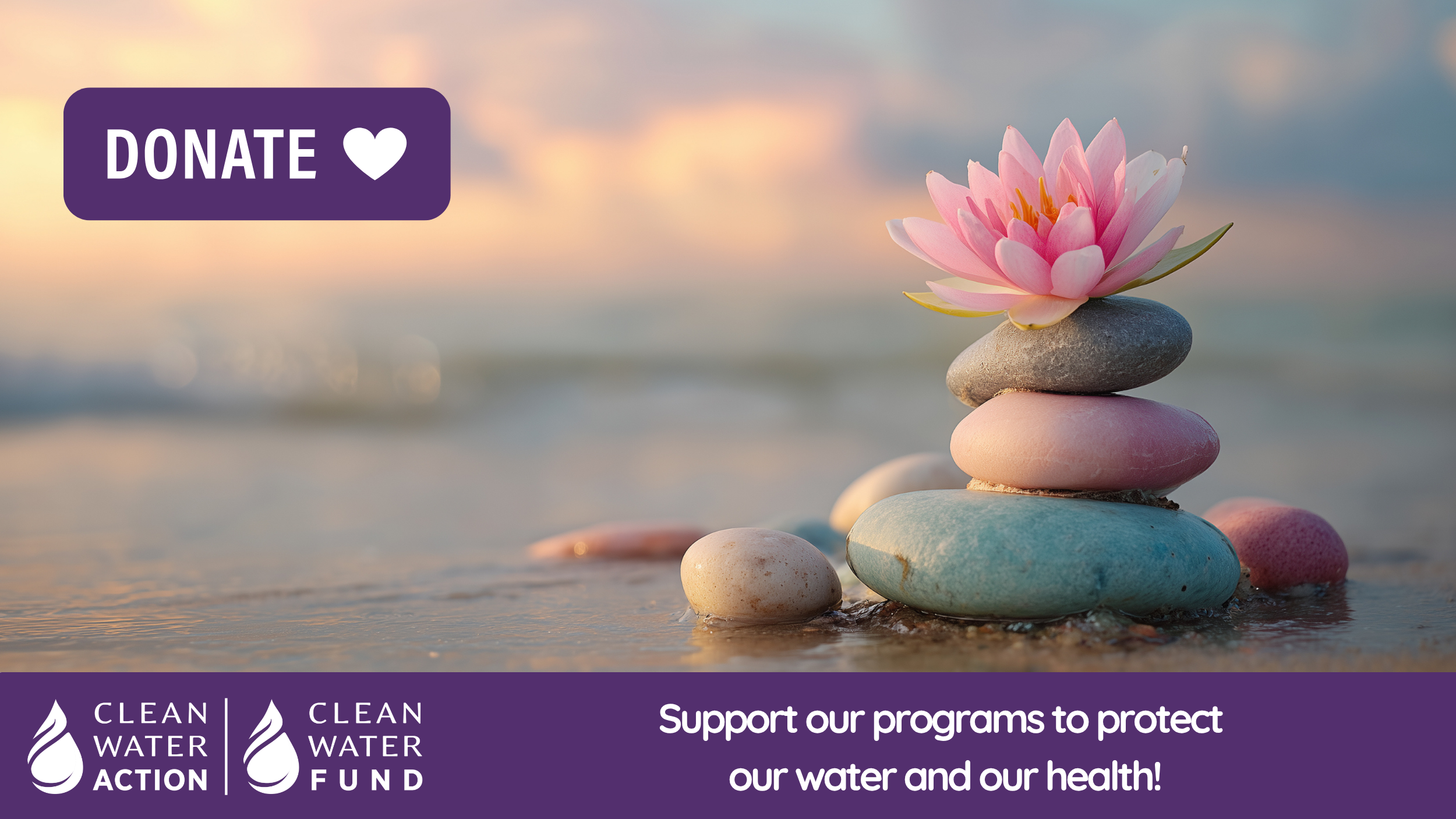 DONATE - Support our programs to protect our water and our health!