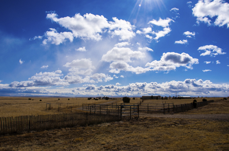 Amarillo Farm Fields. Credt - iStock Photo