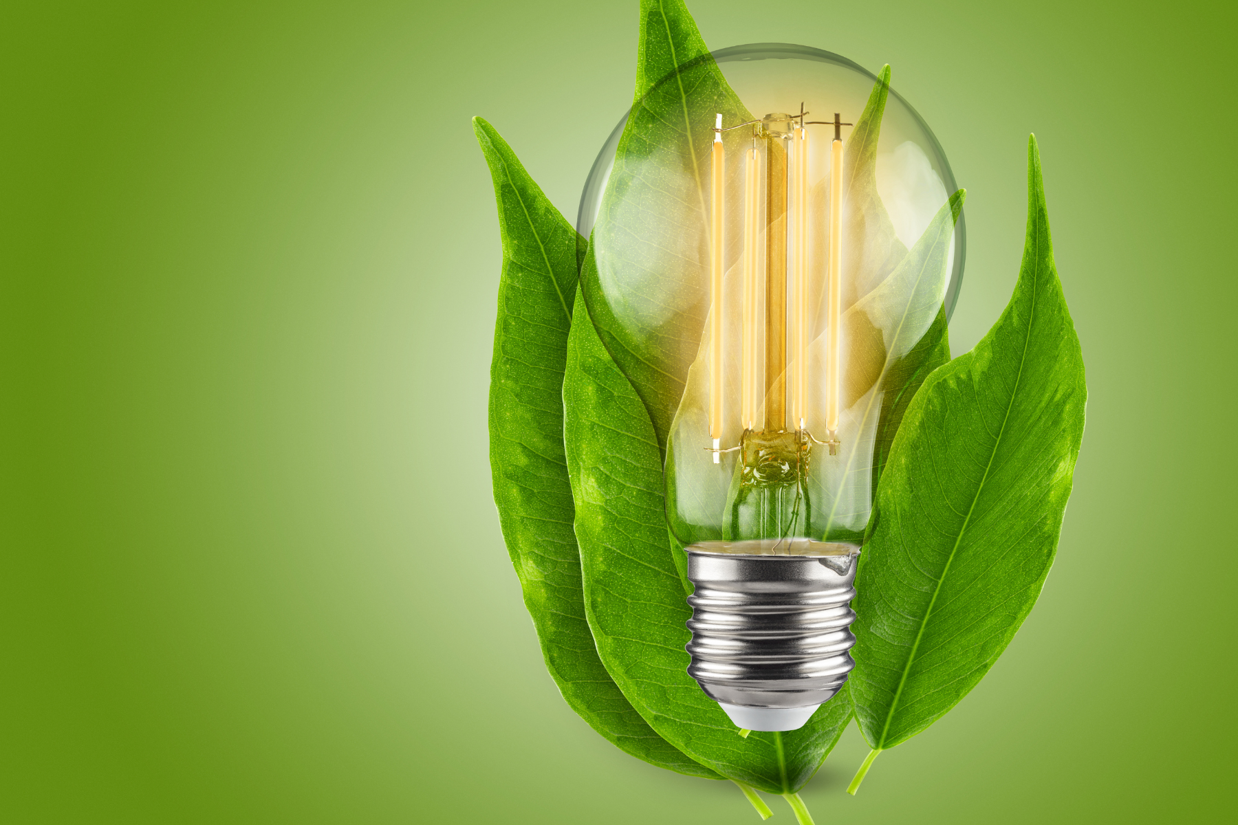 CT-Energy Efficiency Canva