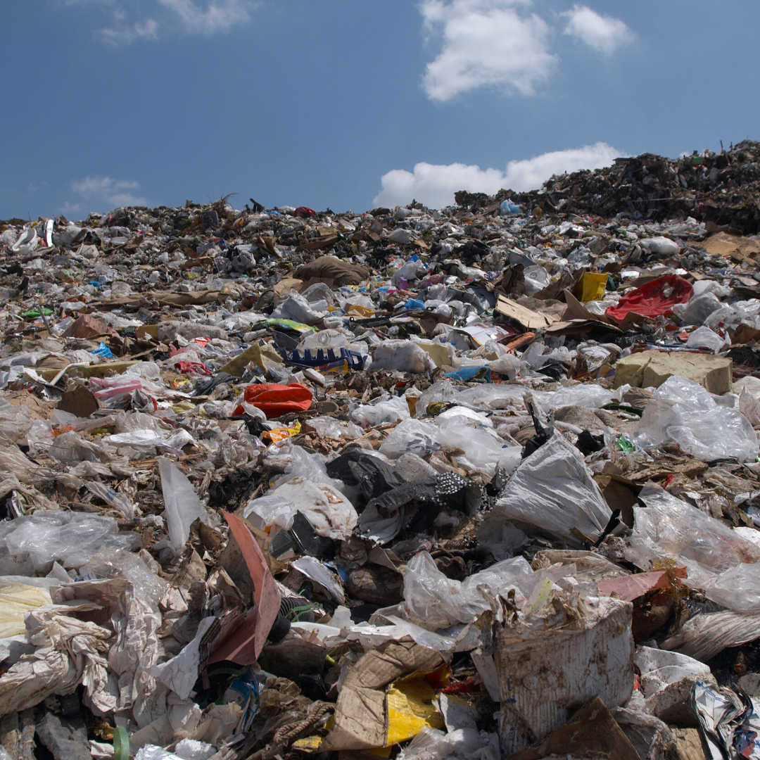 MA_ZeroWaste_Trash_source: Canva