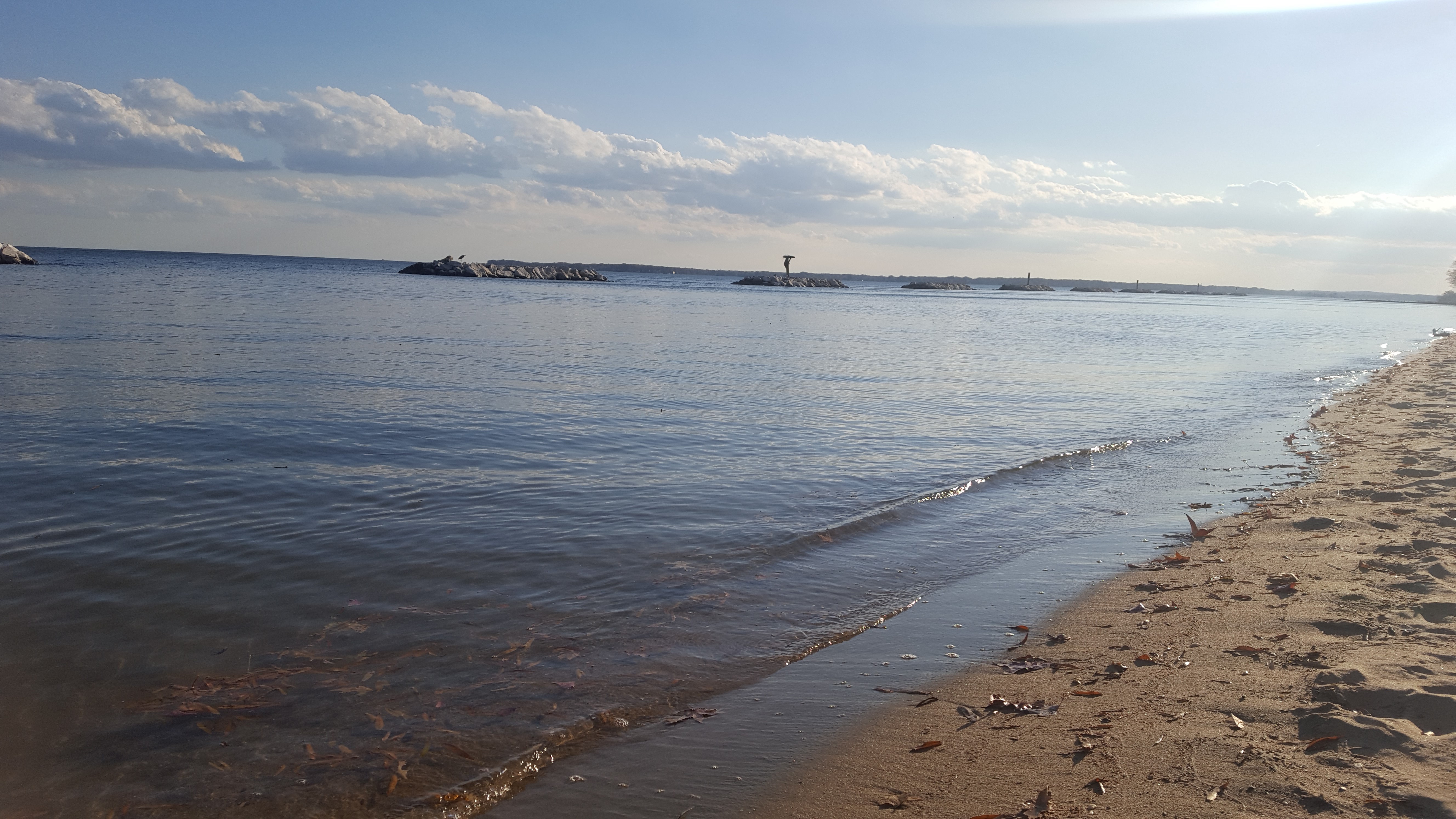 Beach on the Chesapeake Bay