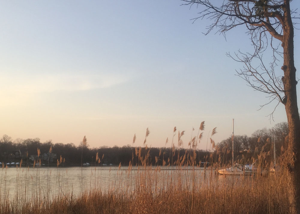 Beards Creek. Laura Melamed - Clean Water Action
