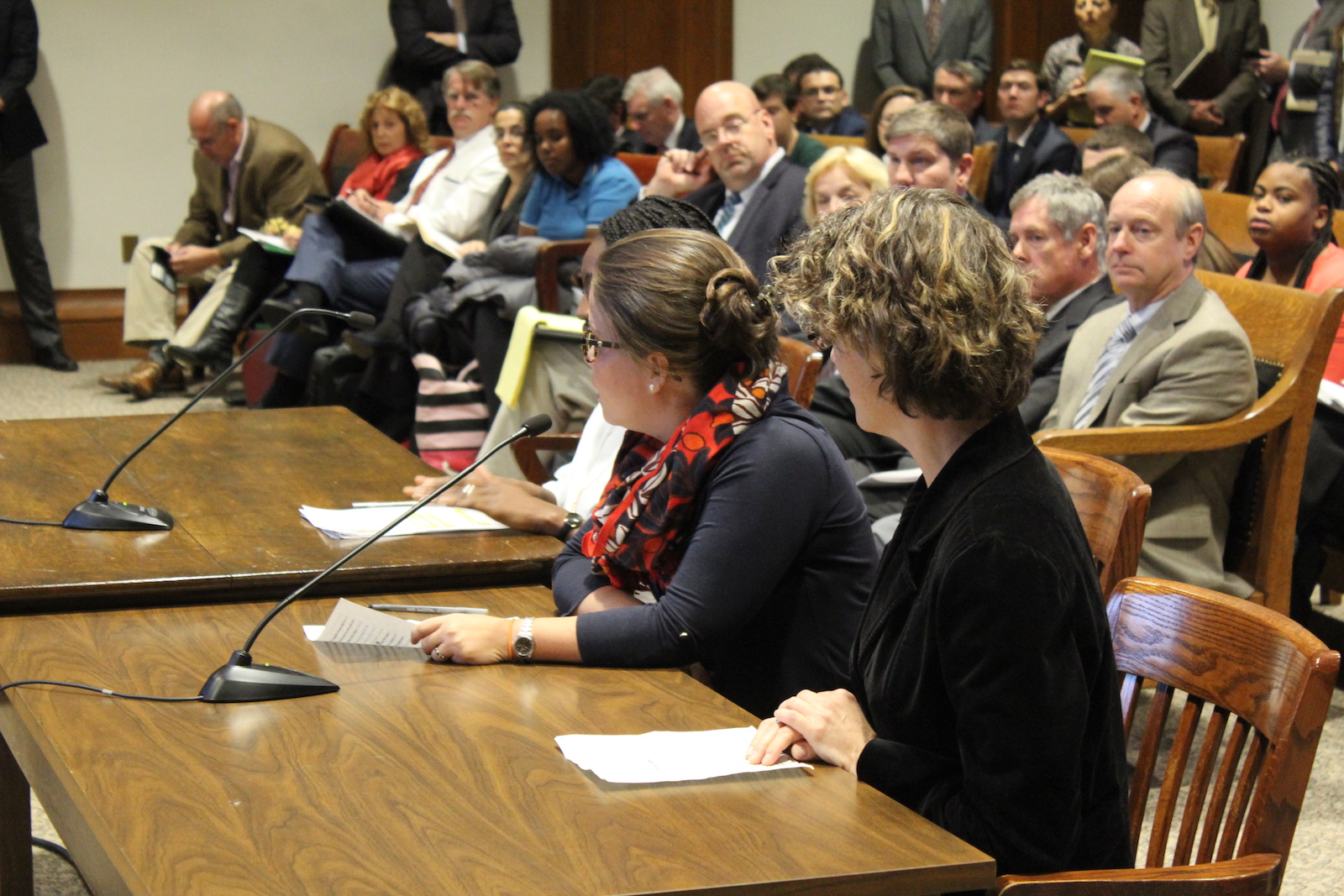 Maria Belen Power - Chelsea GreenRoots, Andrea Nyamekye - Neighbor to Neighbor, Madeleine Scammell - BUSPH