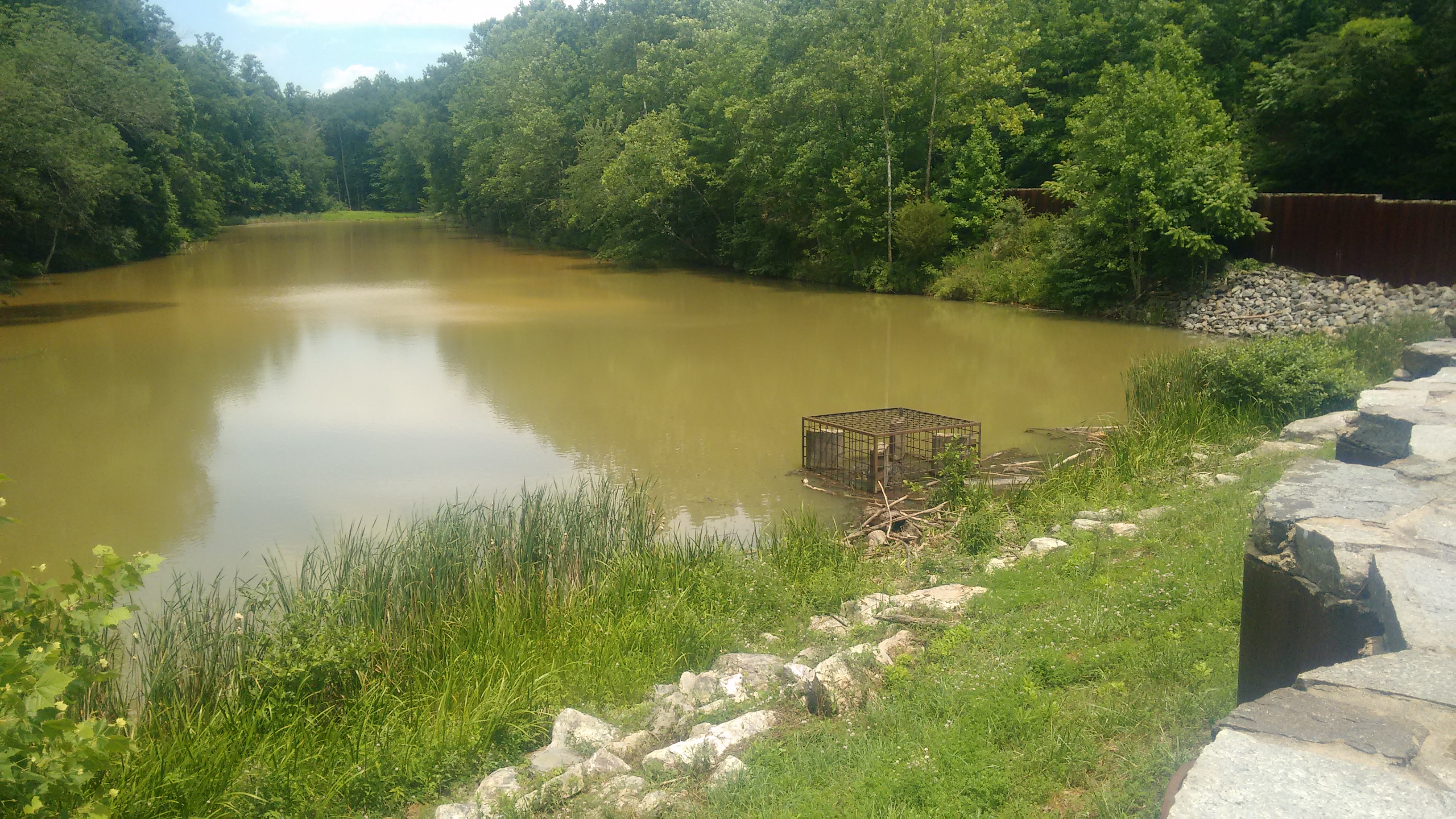Lake Marian, in the Linganore Creek watershed 