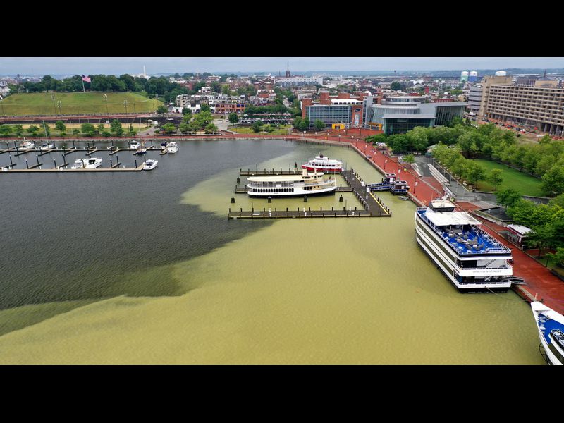 Sediment plume in Baltimore's Inner Harbor. Photo credit: Baltimore Sun.