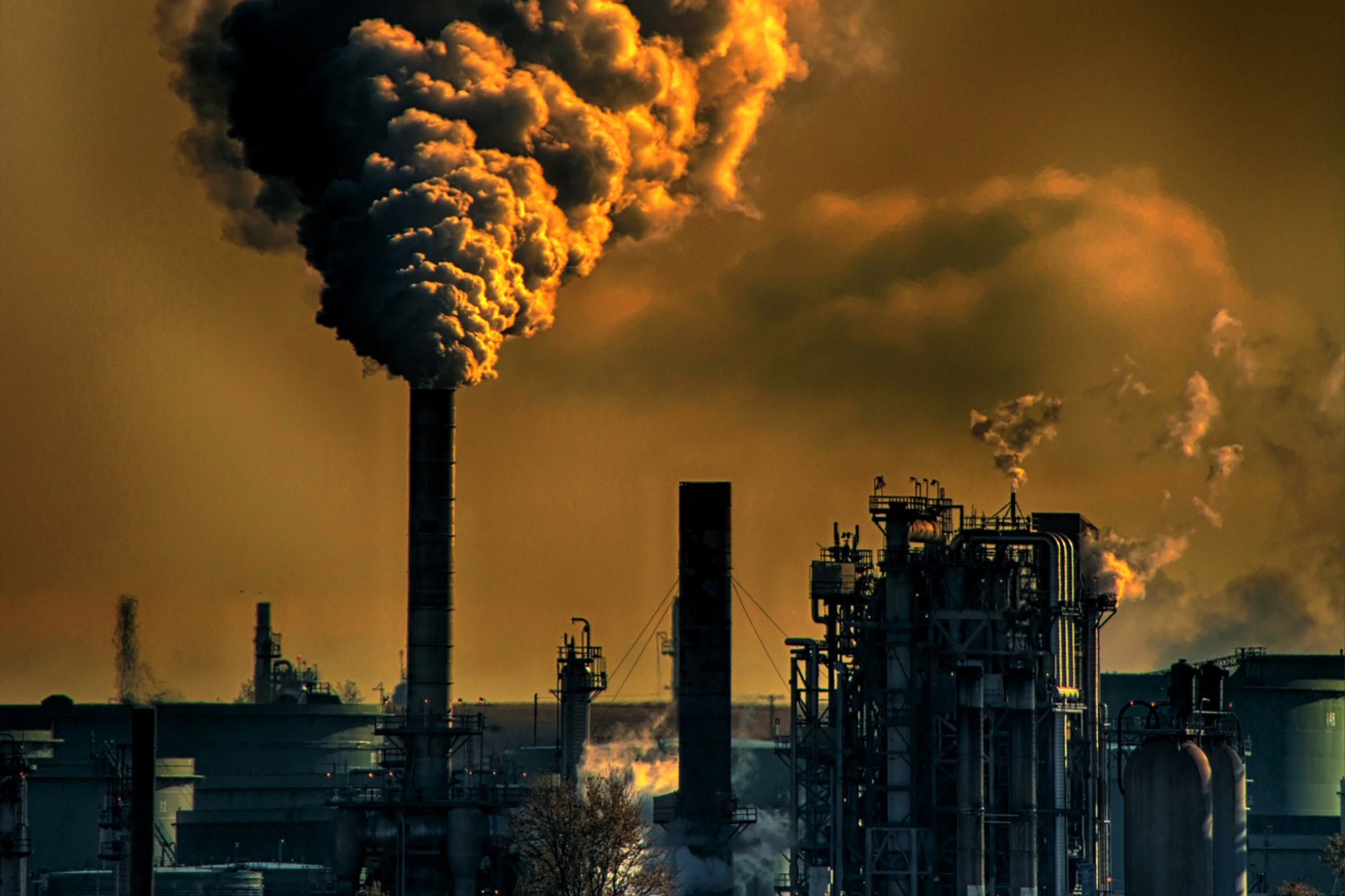 NJ_empowernj_gas plant_adobesparkimage.jpg