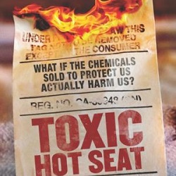 Toxic Hot Seat
