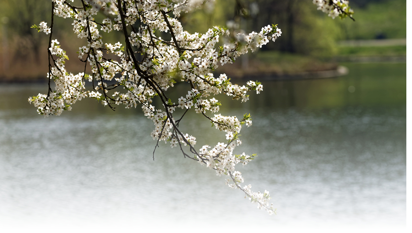 Clean Water Currents -- Spring 2019