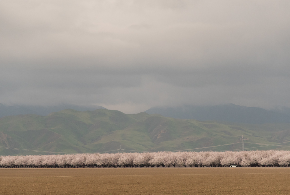 San Joaquin Valley Orchards