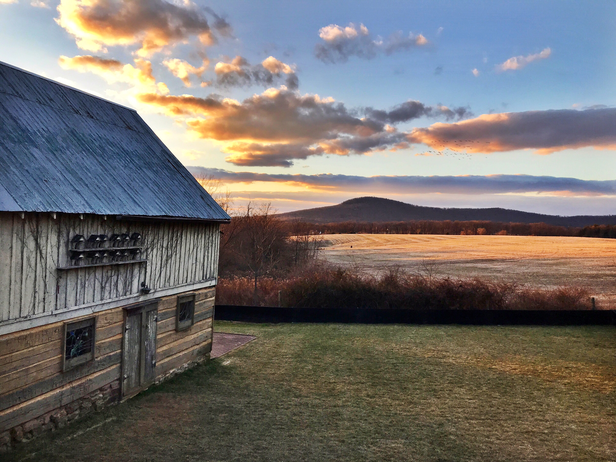 Photo credit: Dalis Davidson of Dancing Leaf Farm