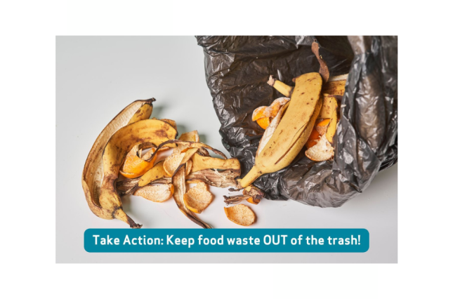 Image of compost with text that says Take Action: Keep food waste out of the trash