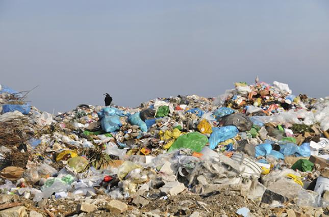 trash at a landfill