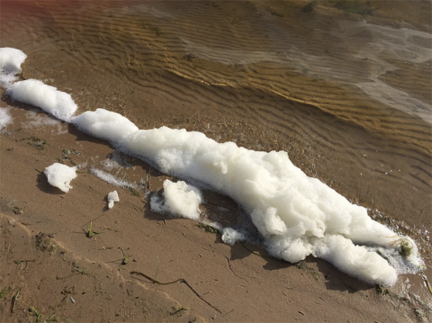 PHOTO: MICHIGAN DEQ / Flickr Http://Bit.ly/1xMszCg