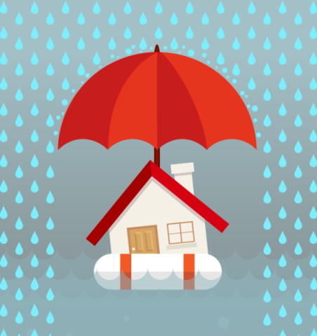 Flood Safe Homed - DC