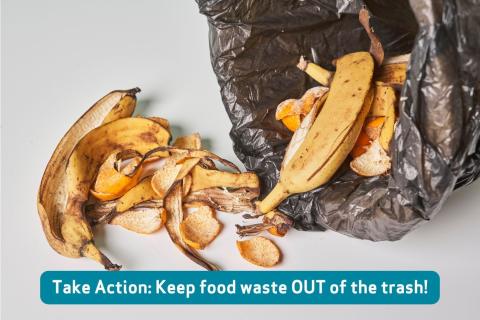 Image of food waste with text that says Take Action: Keep food waste out of the trash