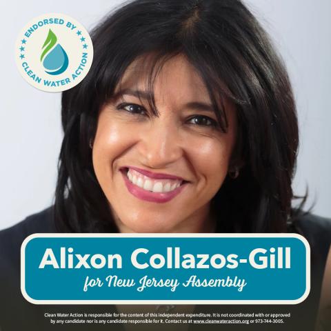 Alizon Collazos-Gill