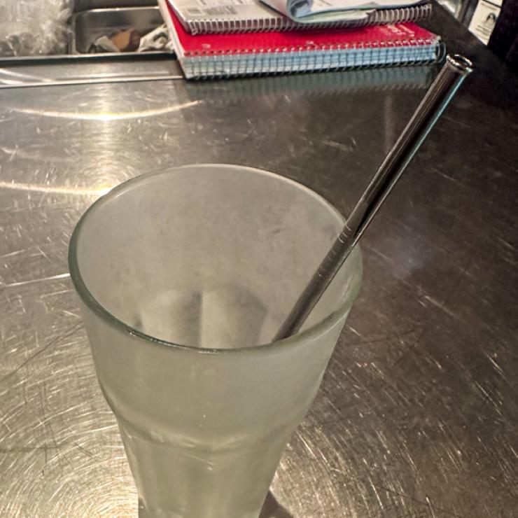 Metal Straw