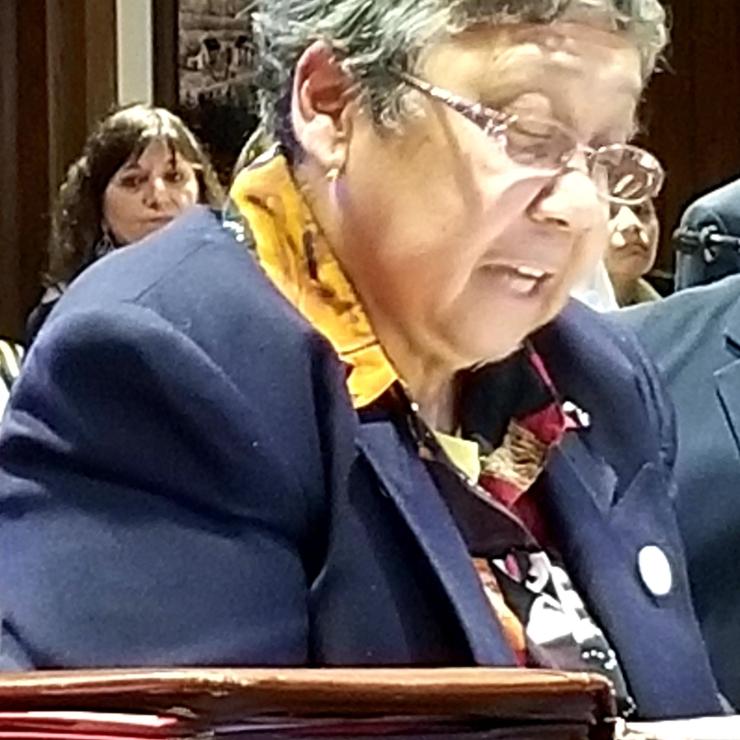 MA_Sister Tess carbon pricing hearing.jpg