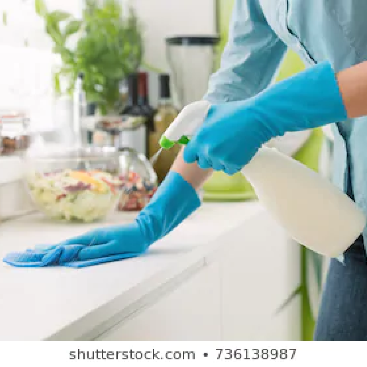 NJ_green cleaning shutterstock