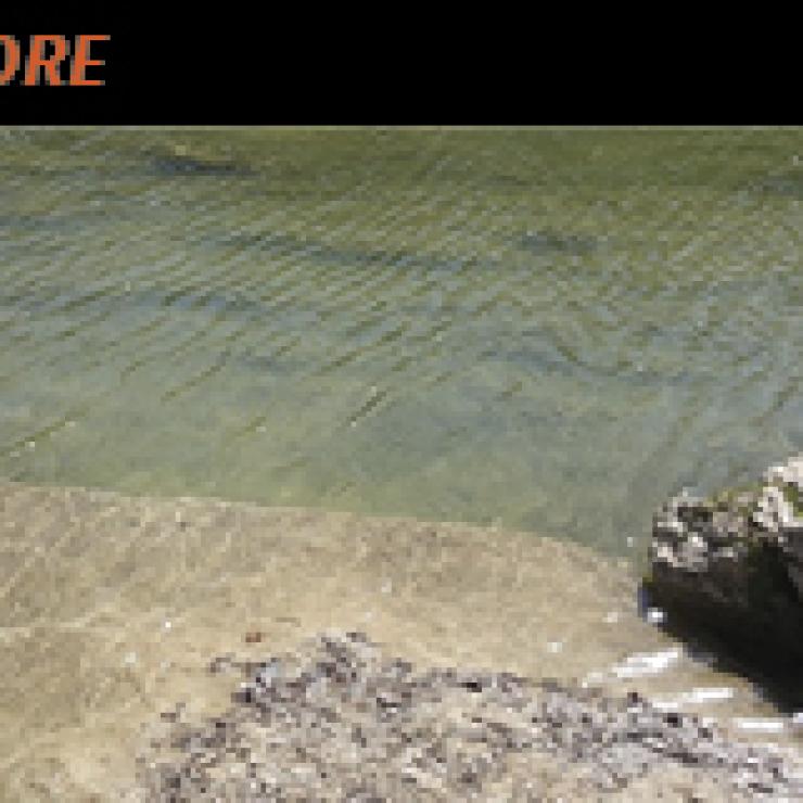 Onion Creek, photo from City of Austin Watershed Protection