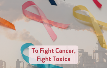 Image of a graphic design with toxic pollution and text that says To Fight Cancer, Fight Toxics