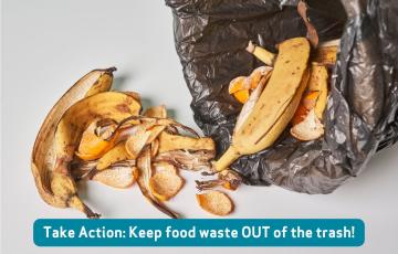 Image of food waste with text that says Take Action: Keep food waste out of the trash
