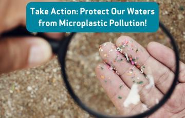 Image of someone looking at microplastics under a microscope on the beach