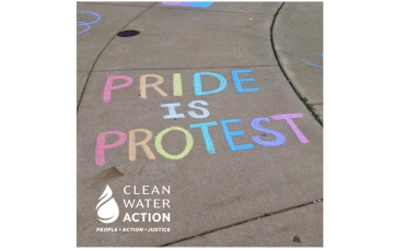 Pride is Protest Graphic 