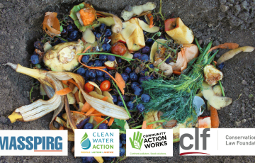 image of scraps of food waste