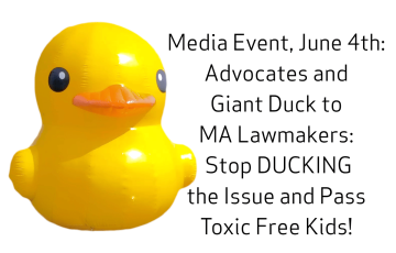 giant duck