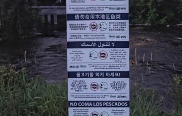 Warnings "Do Not Eat The Fish" due to PFAS in multiple languages