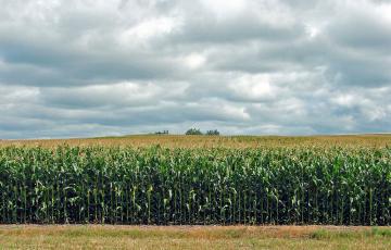 photo: flickr.com/23155134@N06 (CC BY-SA 2.0)