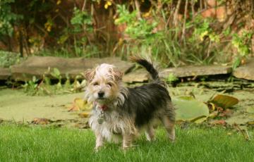 Photo: Beverly Lloyd-Roberts, freeimages.com