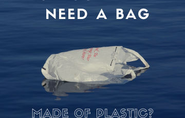 NJ_RethinkDisposable_plastic bag_do you need a bag_canva