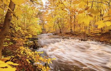 Fall stream