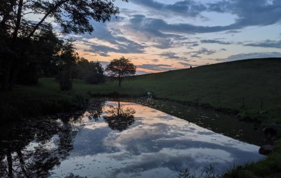 Sky reflected in small pool 