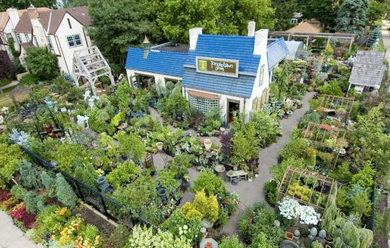 Tangletown Gardens from above