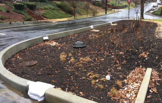 Alger Park Curbside Bioretention