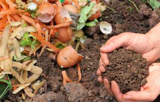 composting