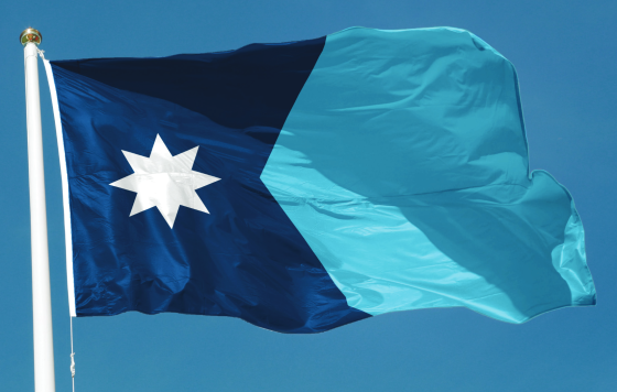 Minnesota State Flag