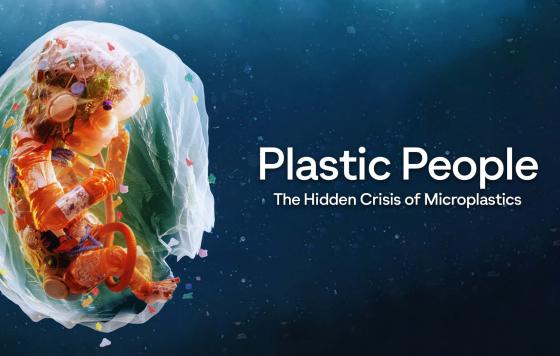 Image of a baby made from different pieces of plastic, floating within a plastic bag.